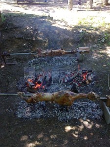 jagnjetina_festa