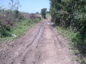 DSC07295