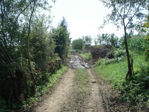 DSC07299