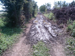DSC07303