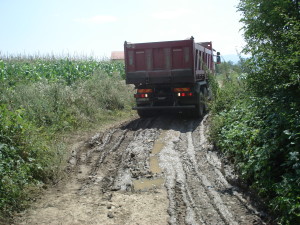 DSC07310