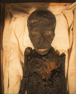Gornji dio mumije